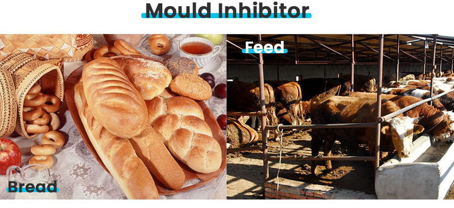 ITFSPJEFUVNU8MM2FR ITFSPJEFUVNU8MM2FR